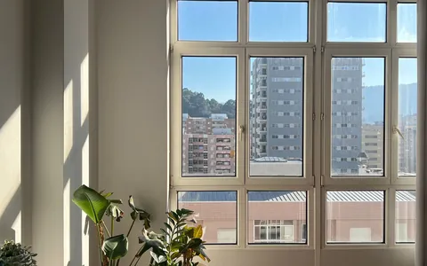 Janela e plantas em ambiente interno, em foto ilustrativa sobre aberturas.